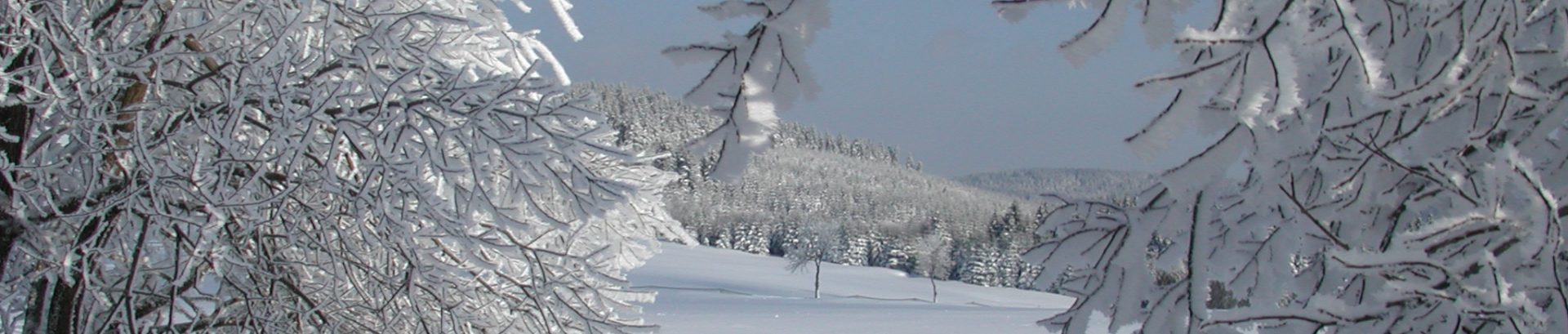 Rechtsanwältin Liana Wiegand